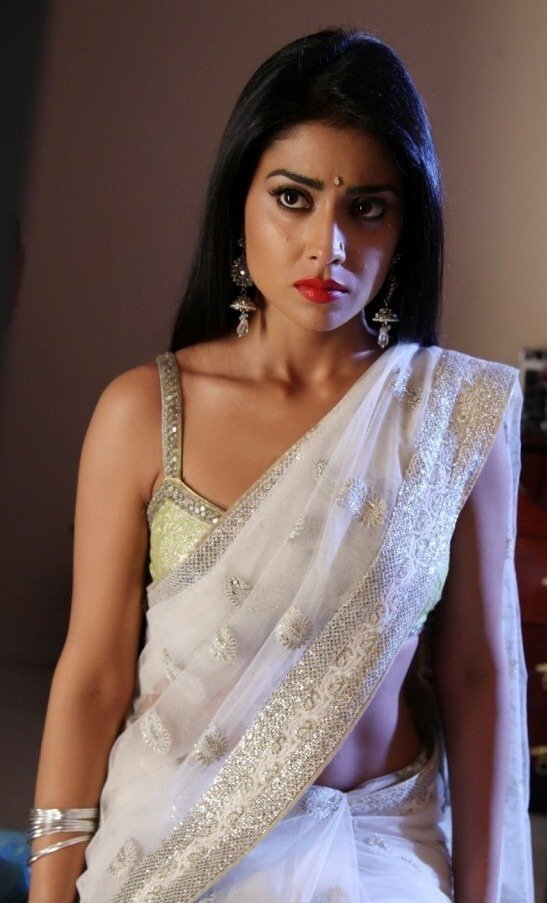 Shriya Saran Hot and Sexy Spicy Stills From Pavithra Movie_VP (2)