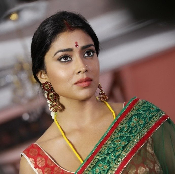 Shriya Saran Hot and Sexy Spicy Stills From Pavithra Movie_VP (6)