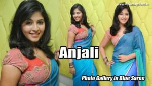 south actress Anjali hot in saree