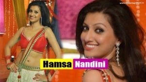 Read more about the article Hamsa Nandini Superhot Item song in Telugu Movie Loukyam Stills