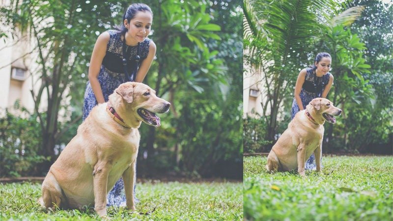 DJ Paroma, DJ Paroma Dog Sasha, National Dog Day, DJ Paroma Candid Moments