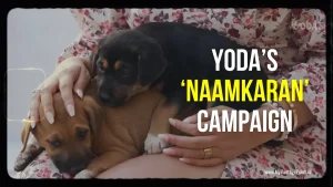 Naamkaran-Campaign-by-YODA